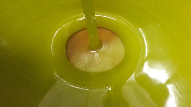 Olive oil separation.jpg